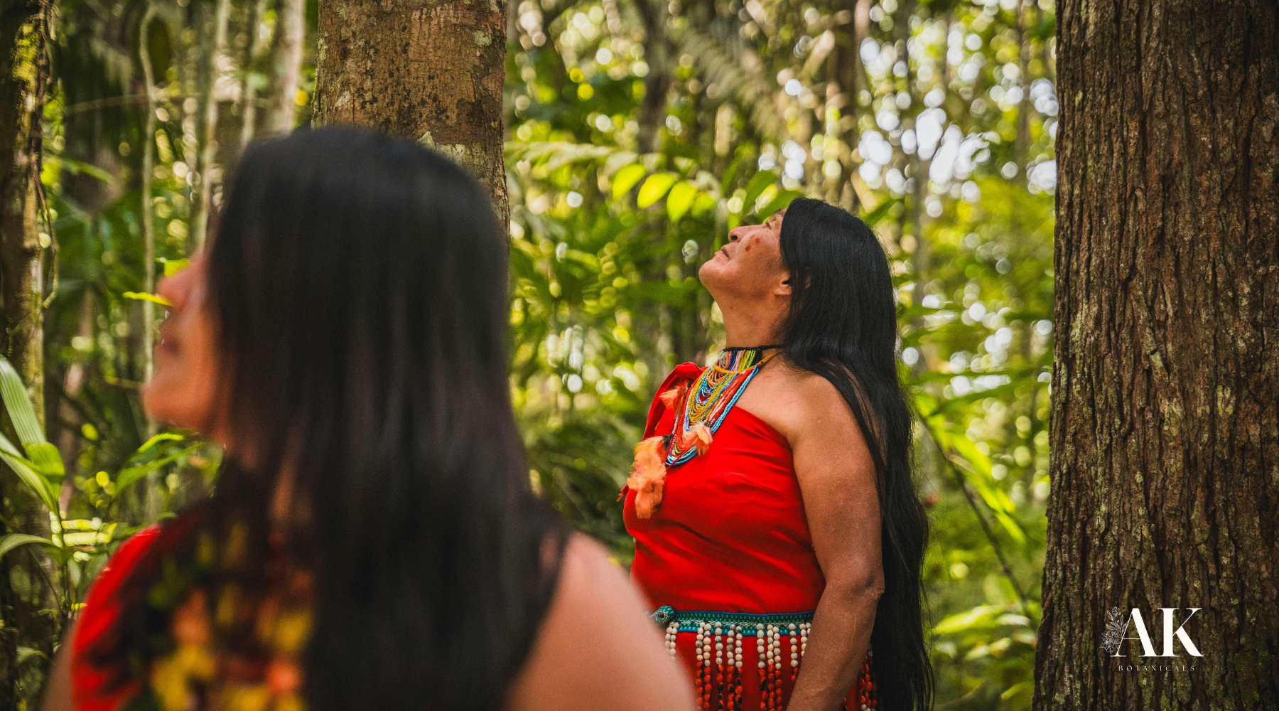 Ancient Plant Wisdom And The Power of Plants in Skincare and Wellness