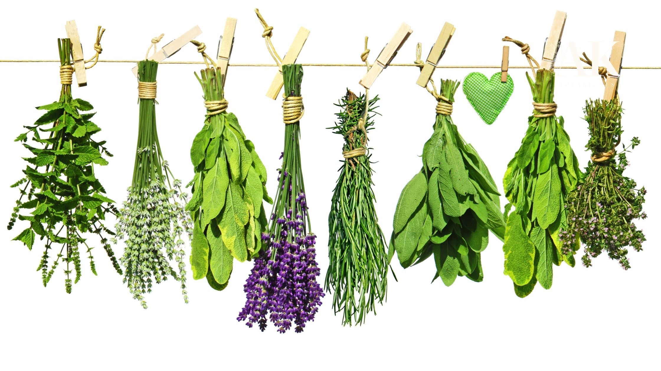 A variety of fresh medicinal herbs, including lavender, sage, rosemary, and thyme, hanging to dry on a line—natural remedies often used to support skin health and assist in treating actinic keratosis.