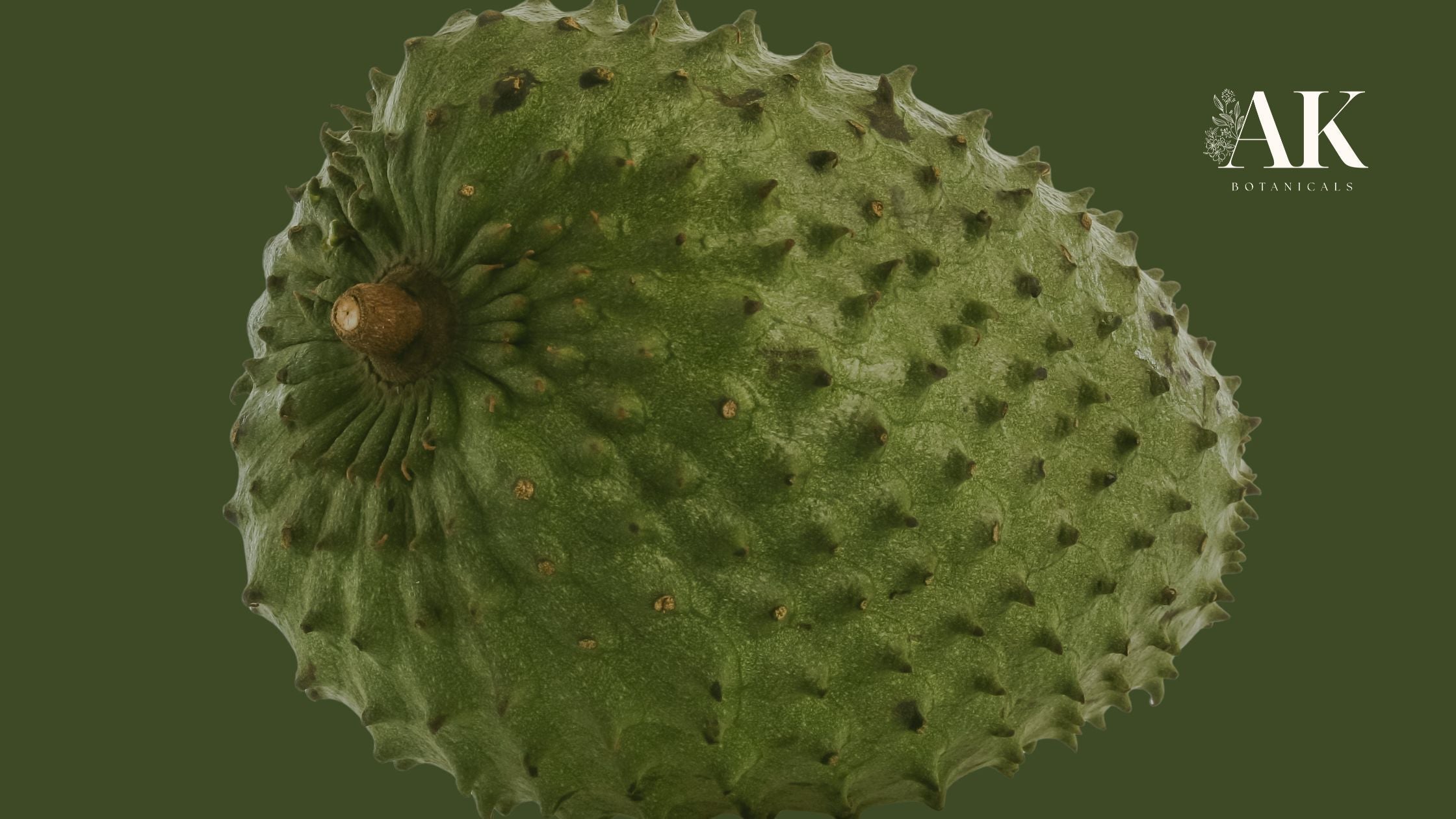 Close-up of a fresh graviola (soursop) fruit with its green spiky skin, used in natural skincare for its soothing, antioxidant, and hydrating benefits – AK Botanicals.