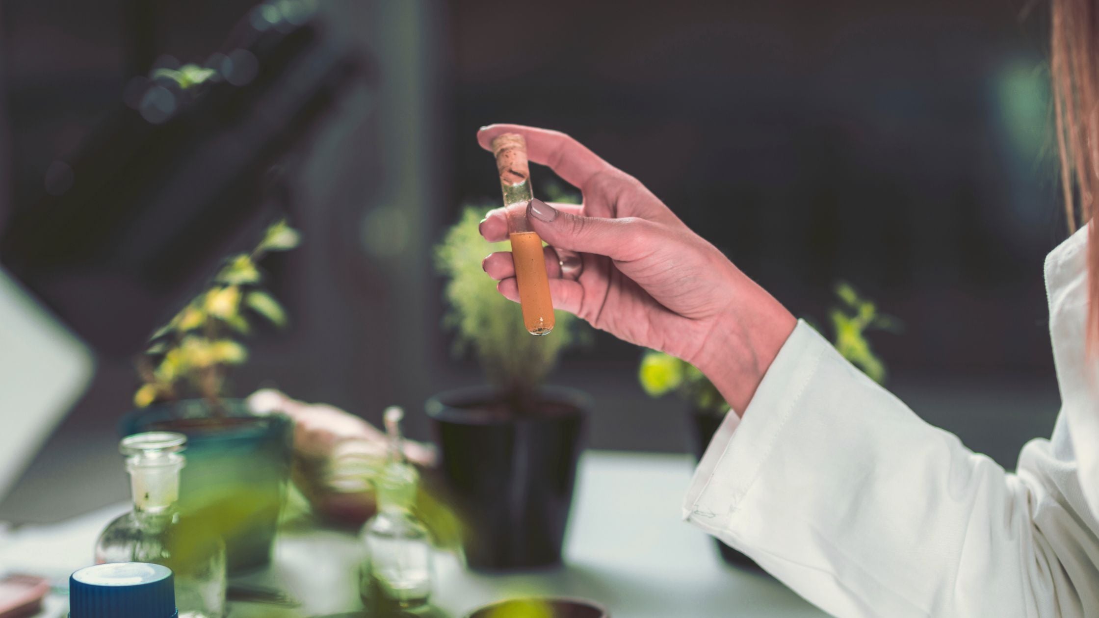Top Over-the-Counter Natural Treatments for Actinic Keratosis
