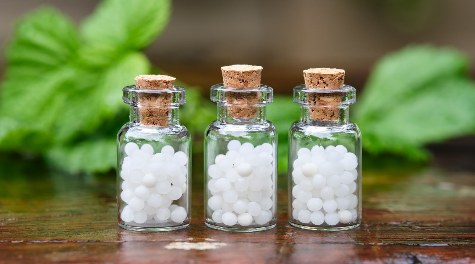 Actinic Keratosis Homeopathy Remedies: A Natural Approach to Skin Healing