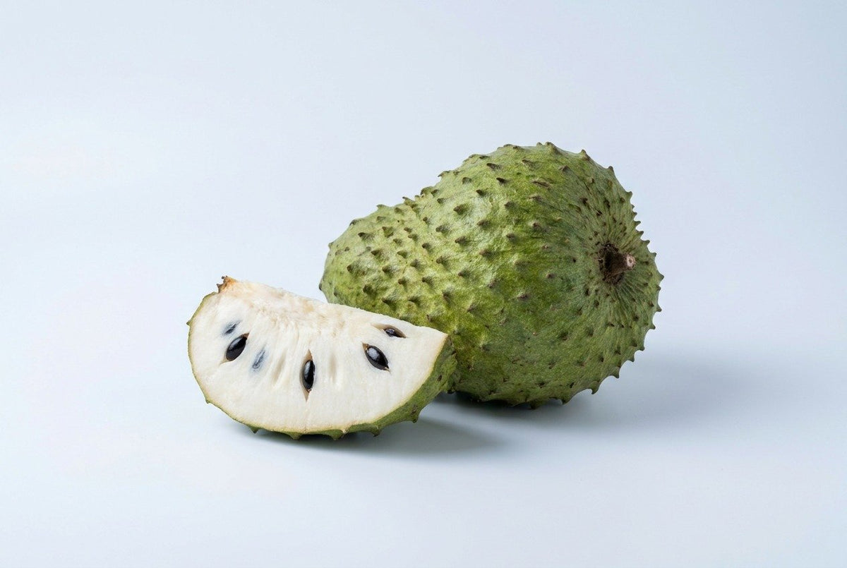Soursop (Annona muricata) skincare benefits infographic highlighting the tropical botanical’s antioxidant properties and potential role in supporting healthy-looking skin.