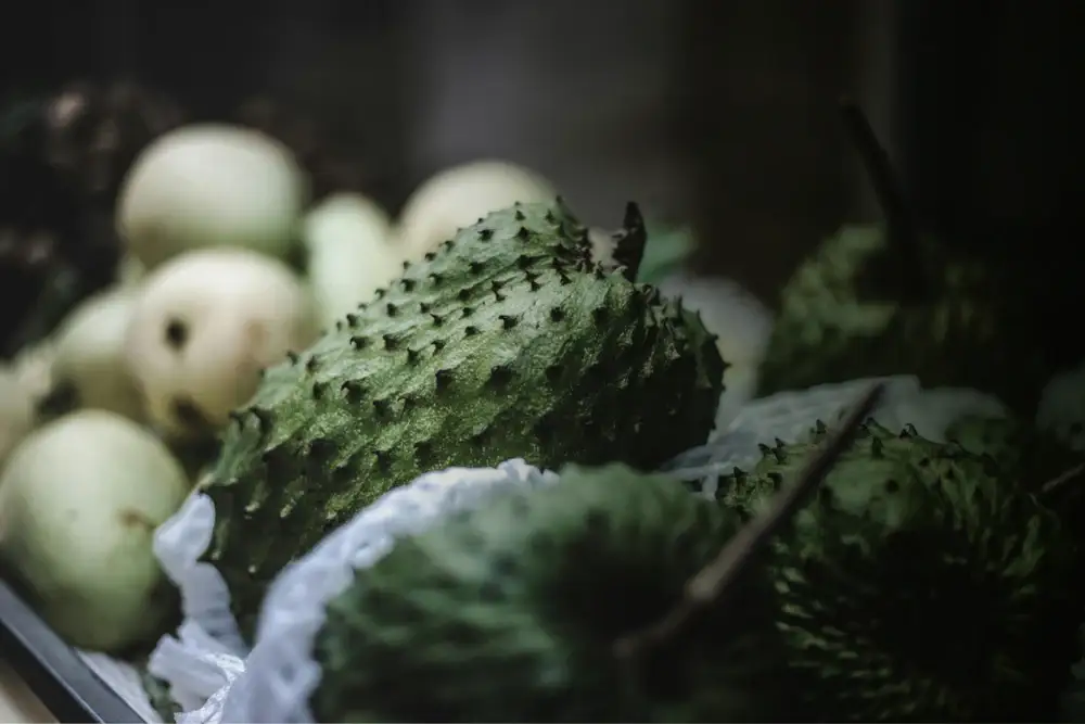 Close-up image of a ripe soursop fruit (Annona muricata) with spiky green skin, known for its antioxidant-rich properties and traditional use in natural skincare solutions.